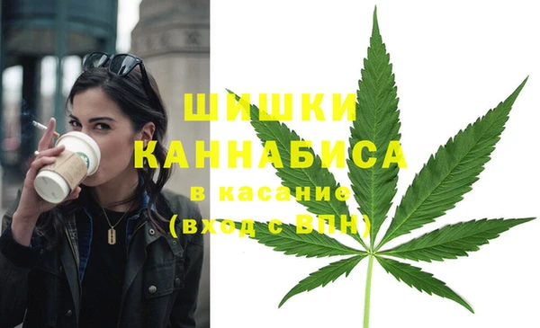 молекула духа Арсеньев