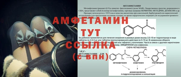 стафф Аркадак