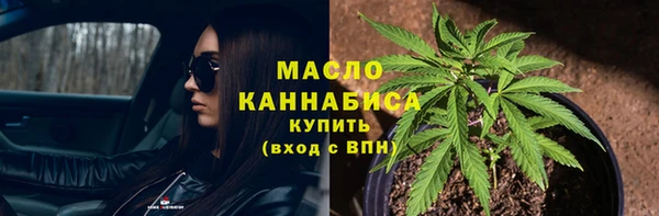 молекула духа Арсеньев