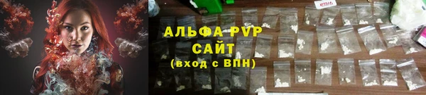 стафф Аркадак