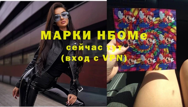 молекула духа Арсеньев