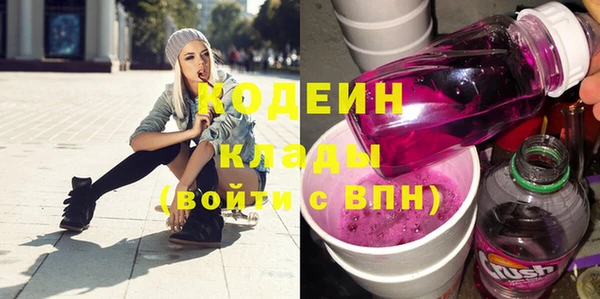 молекула духа Арсеньев