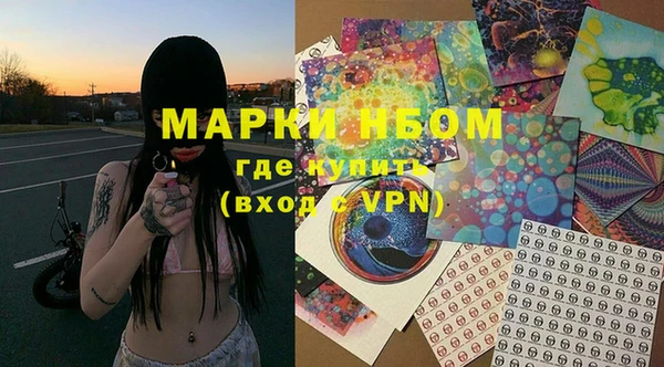 стафф Аркадак