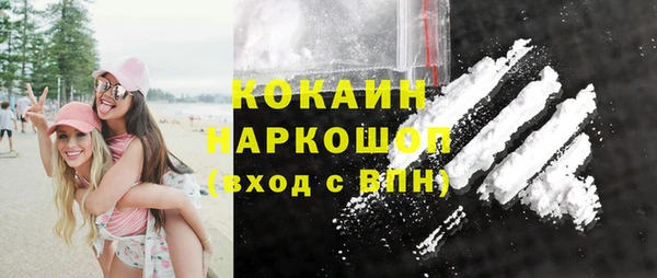 молекула духа Арсеньев