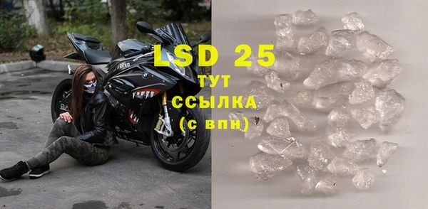 стафф Аркадак