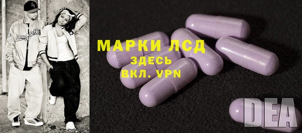 стафф Аркадак