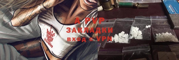 молекула духа Арсеньев