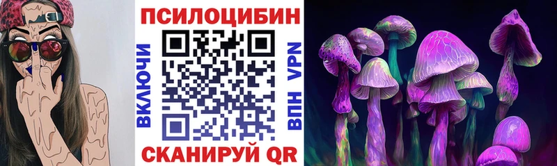 магазин продажи наркотиков  Мещовск  Псилоцибиновые грибы MAGIC MUSHROOMS 